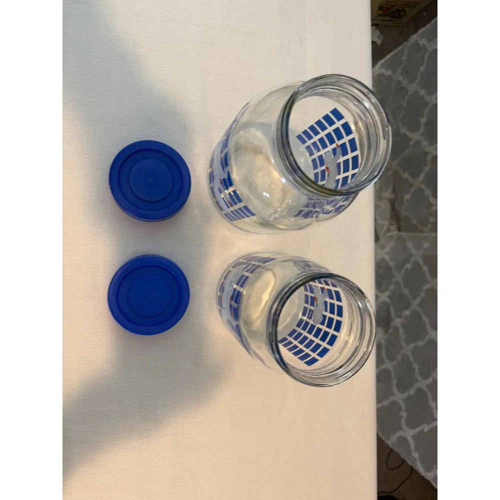 Vintage Country Geese Glass Canister Set 1L 3L Blue Checkered Jars with Lids